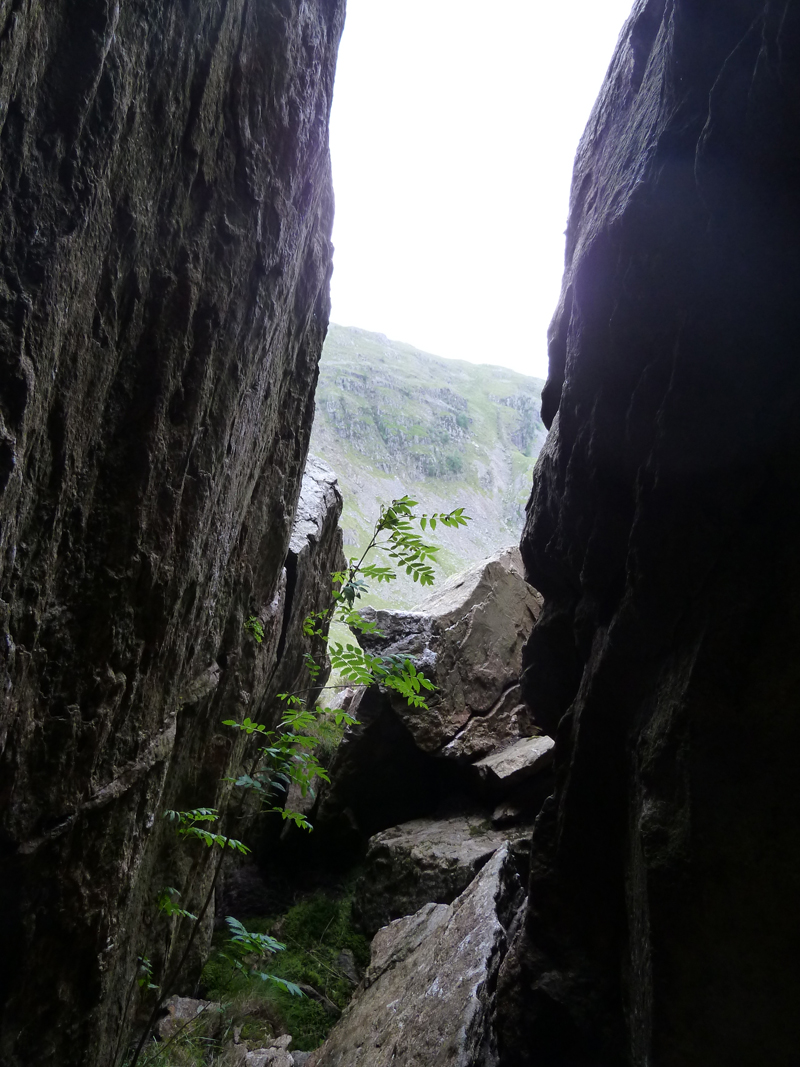 Cave View